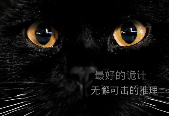 东野圭吾/阿加莎：最好的诡计、无懈可击的推理！